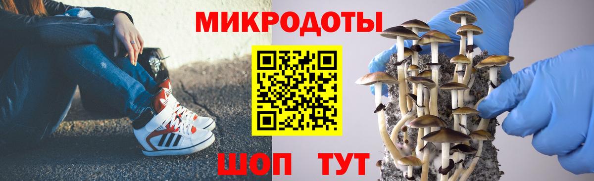 Омск  Псилоцибиновые грибы GOLDEN TEACHER  где купить   Вход с VPN 